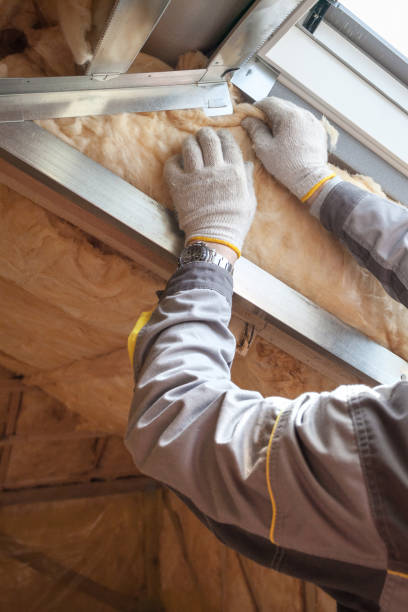 Best Spray Foam Insulation in Lemon Hill, CA