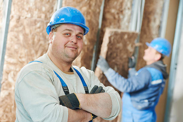 Best Specialized Insulation Services in Lemon Hill, CA