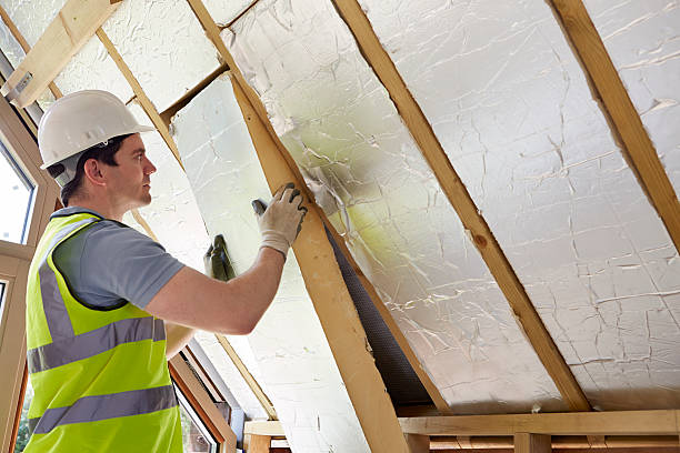 Best Insulation Maintenance and Repair in Lemon Hill, CA
