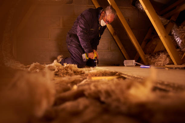 Types of Insulation We Offer in Lemon Hill, CA